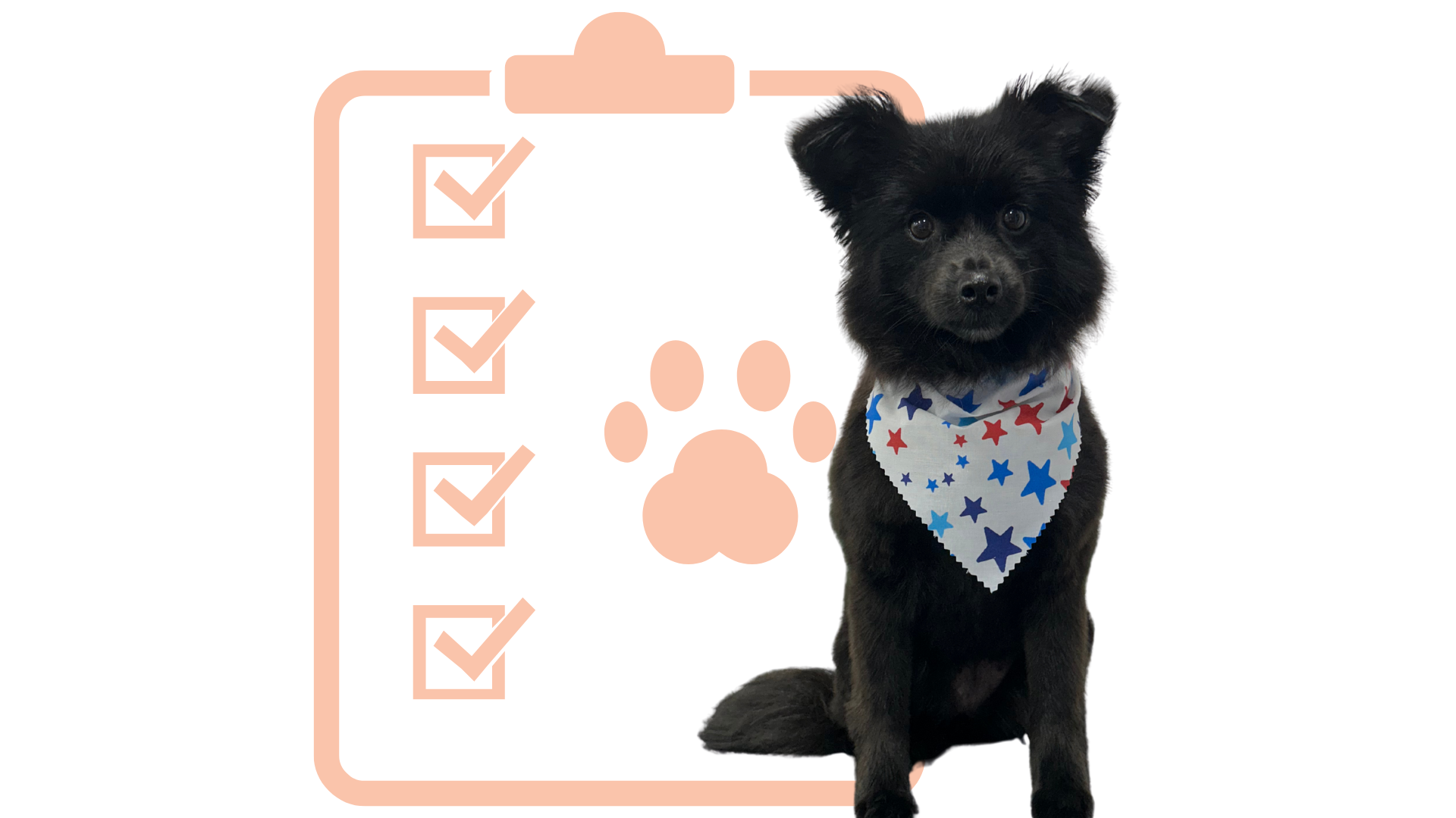 Estrategias digitales personalizadas